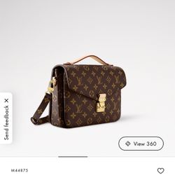 Louis vuitton Purse