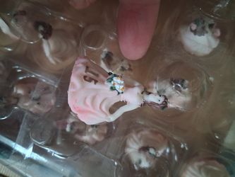 A small quinceanera doll set