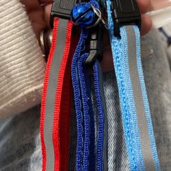 Puppy Or kittens Collars
