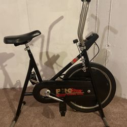 Pro Fitness Weight Flywheel Model Roadmaster