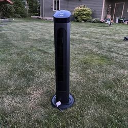 Fan