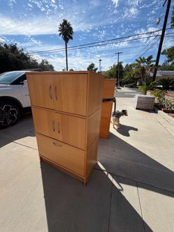2 IKEA File/Storage Units