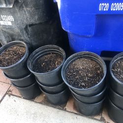 3 Gallon Pots Of Soil
