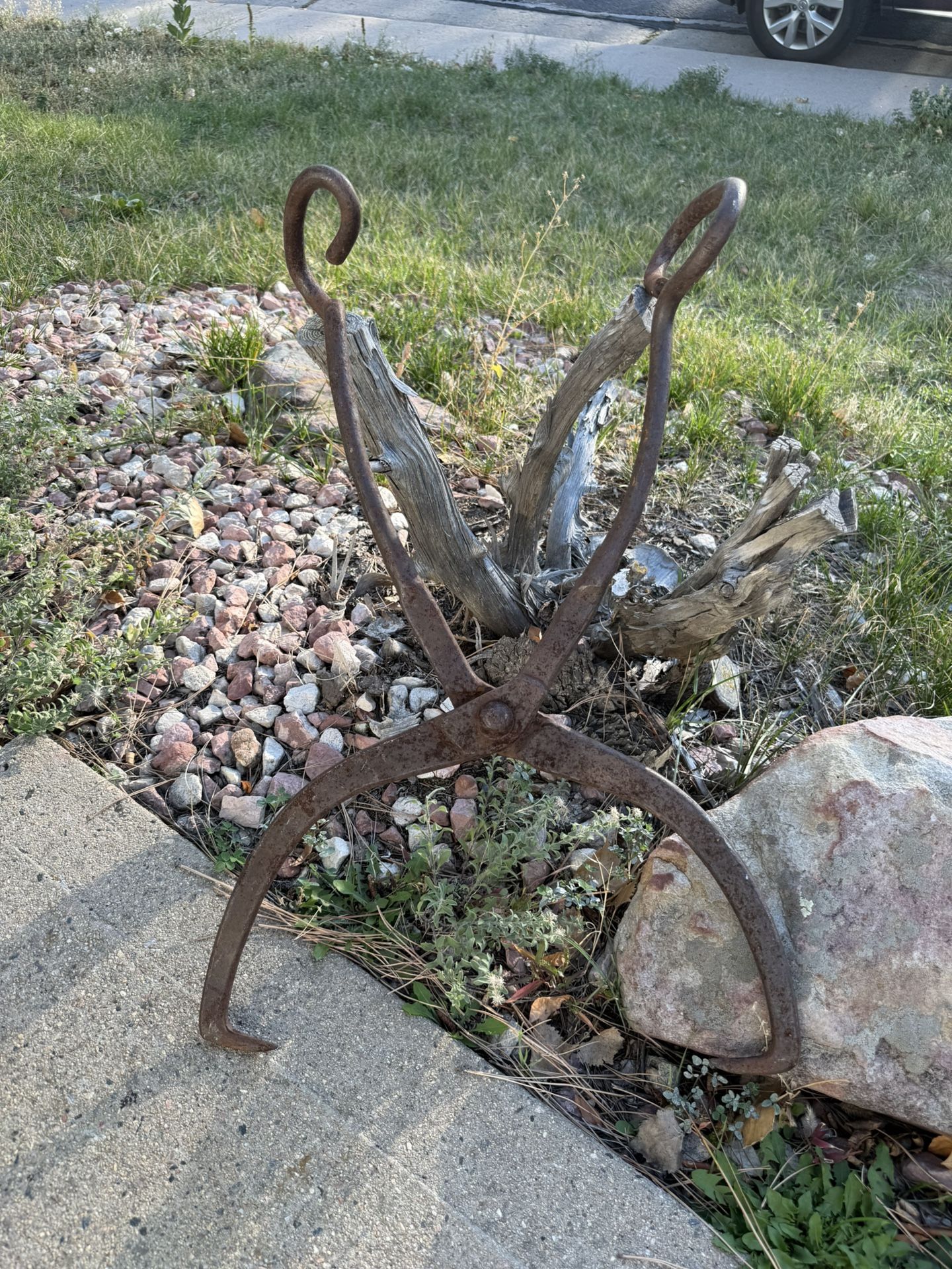 Vintage Ice Tongs
