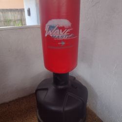 Freestanding Punching Kicking Bag