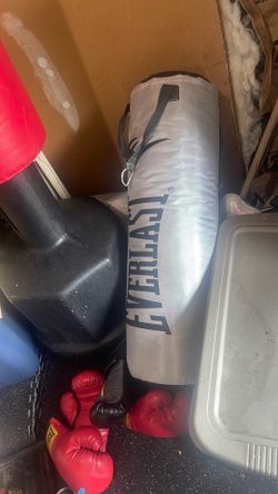 punching bag set
