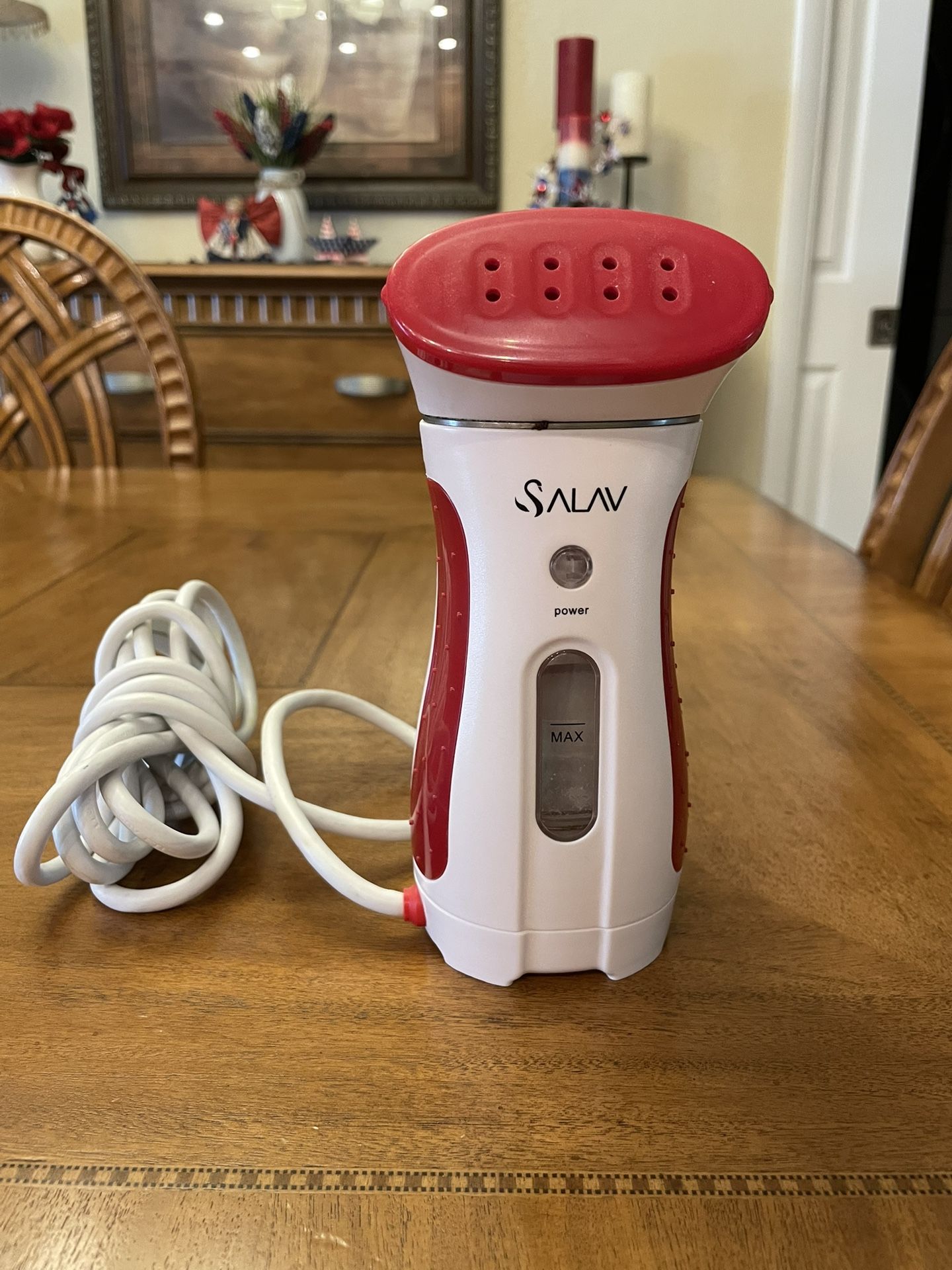 SALAV Handheld Steamer