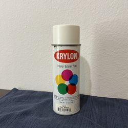 Krylon Paint Flat White 