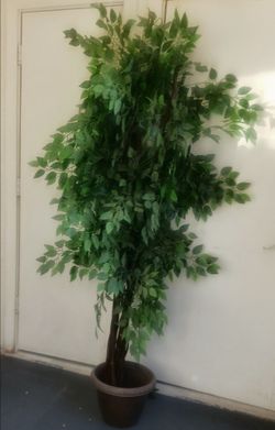 2 Artificial Plants
