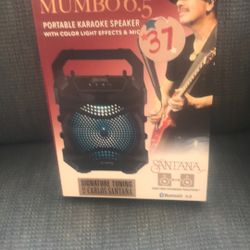 Portable karaoke speaker