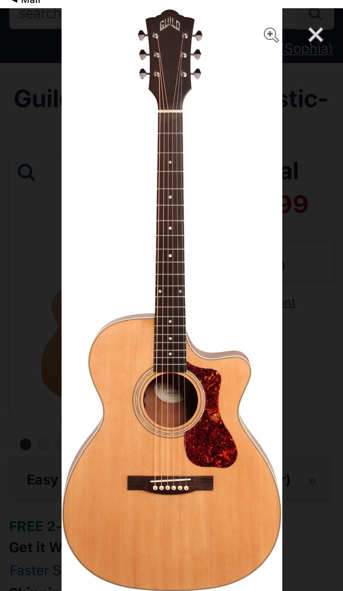 Guild Acoustic Electric Guitar