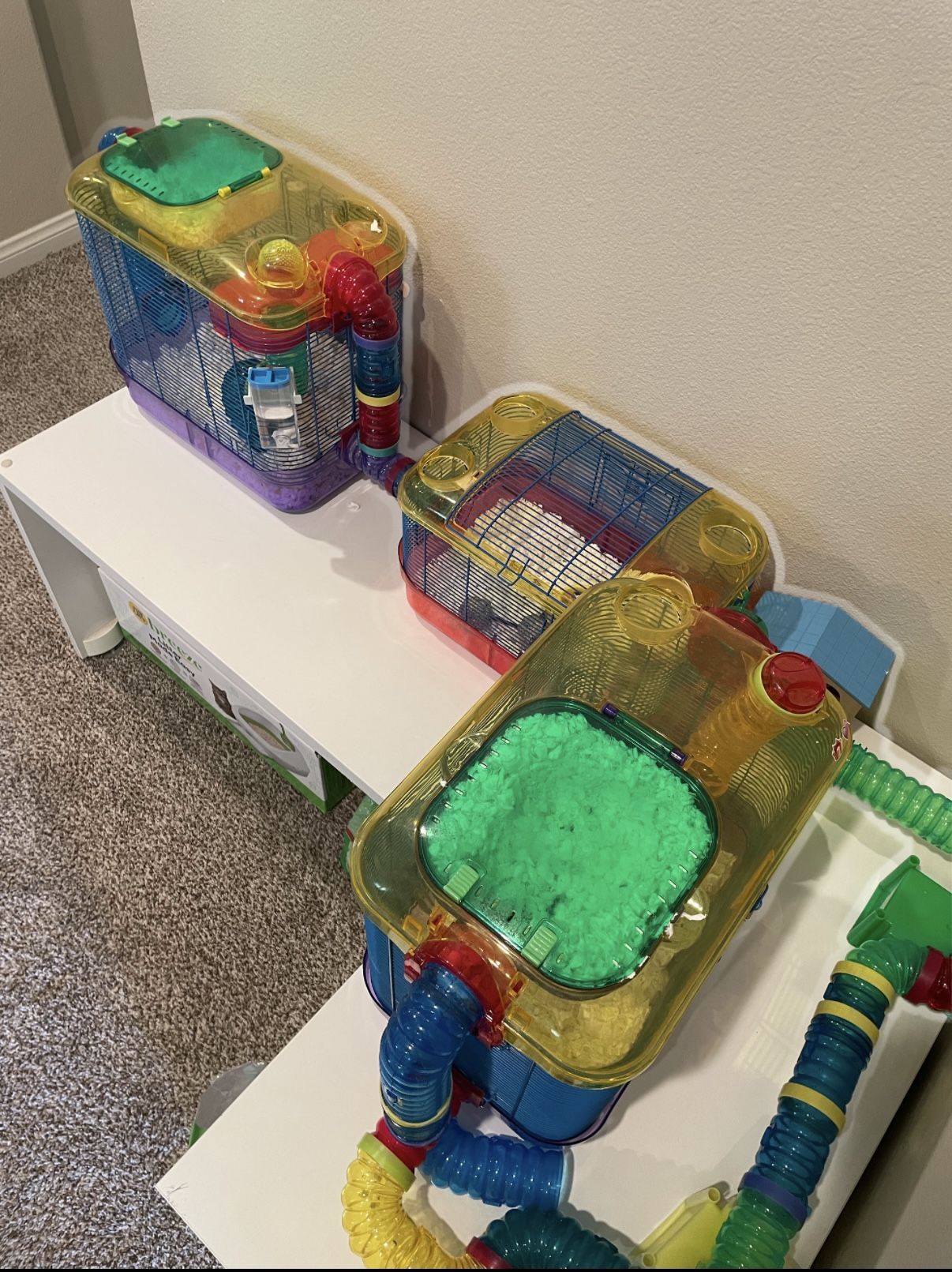Adapting A Hamster Cage For Impaired Vision