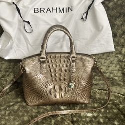 Brahmin Purse