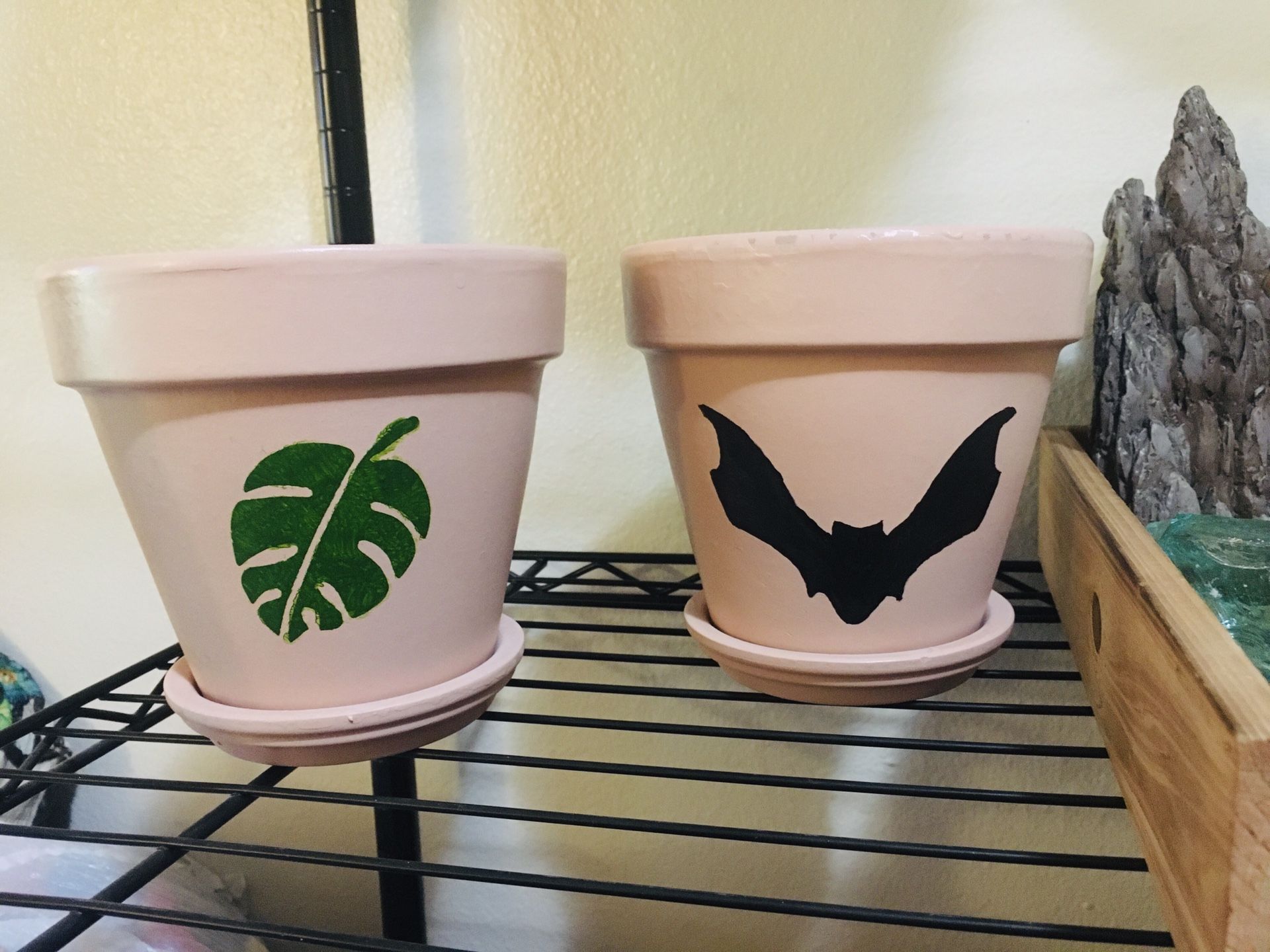 Terra Cotta Pots