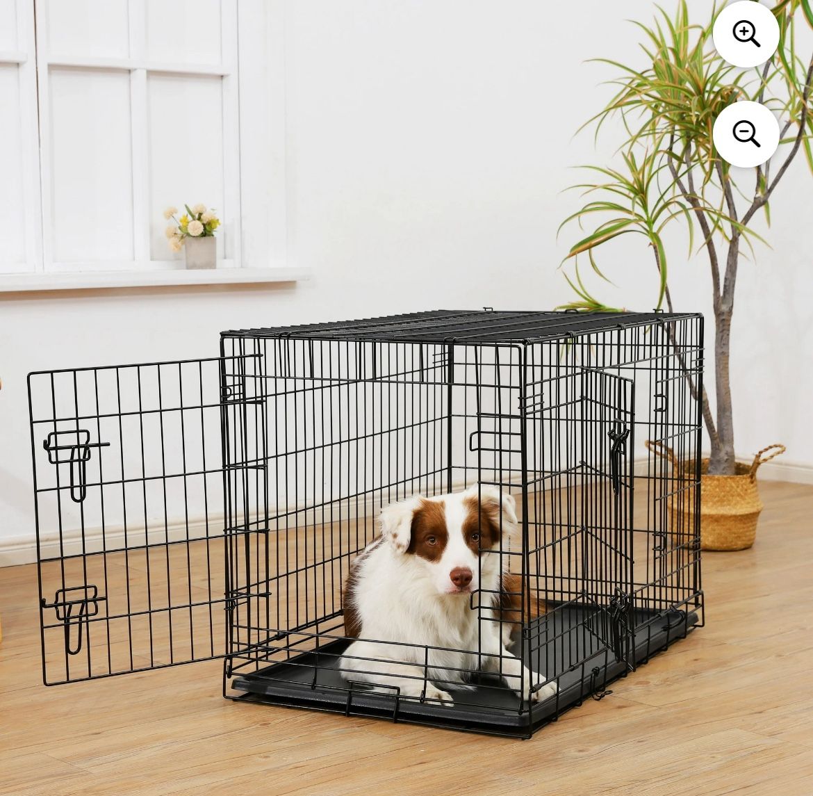 Dog Crate