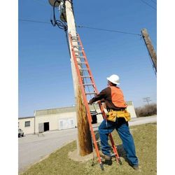 Louisville 20 Foot Extension Ladder 