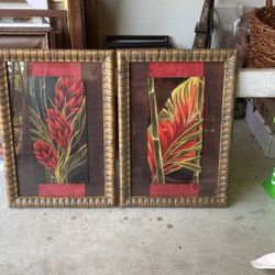Pair Of Framed Palm Botanicals