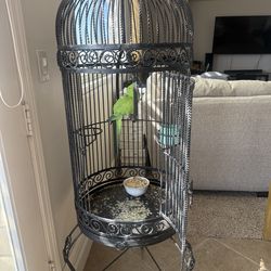 Bird cage  for rign neck