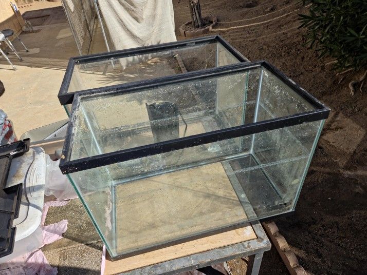Aquariums + Accessories 