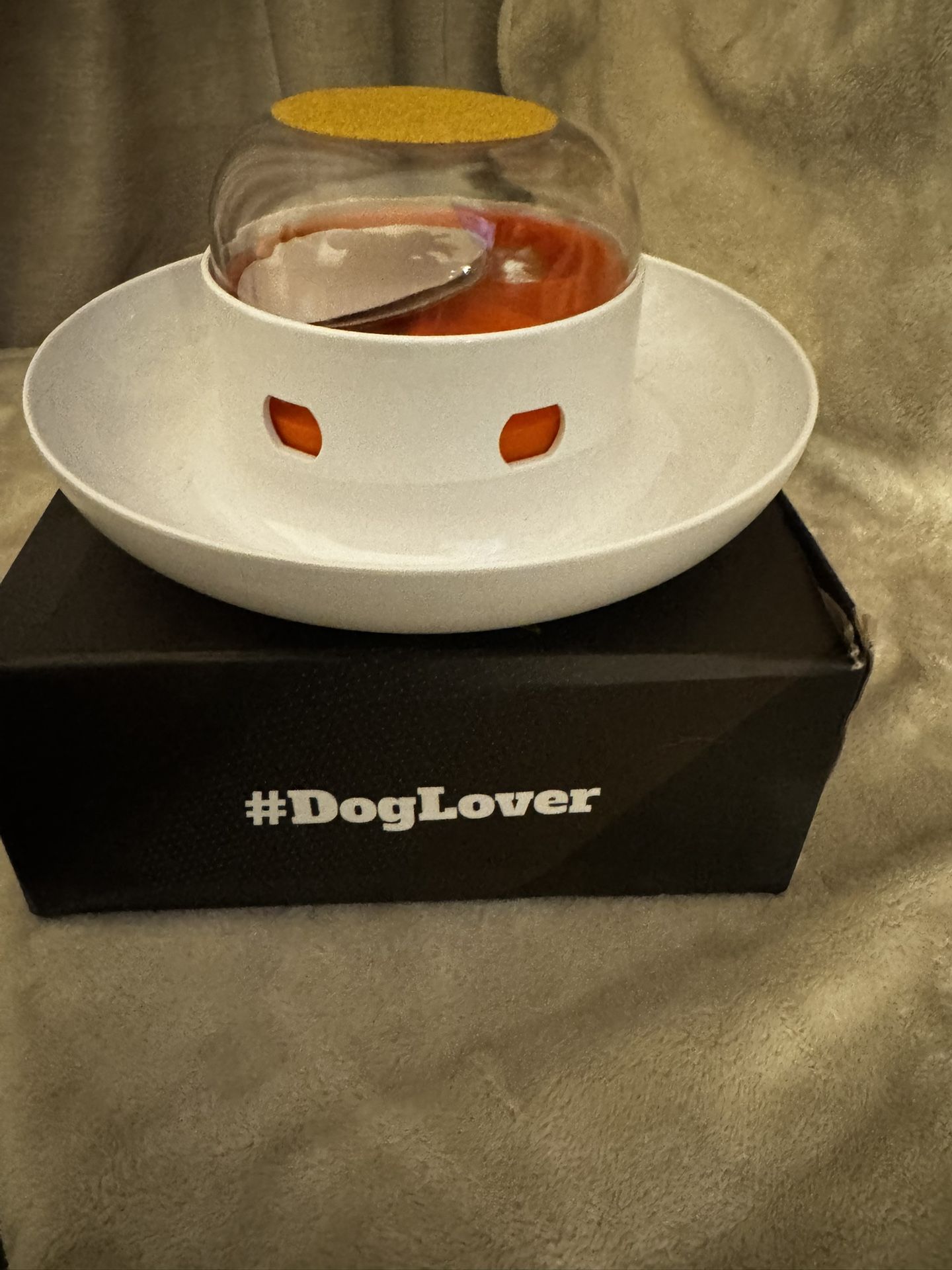 Dog Nail Scratch Board 