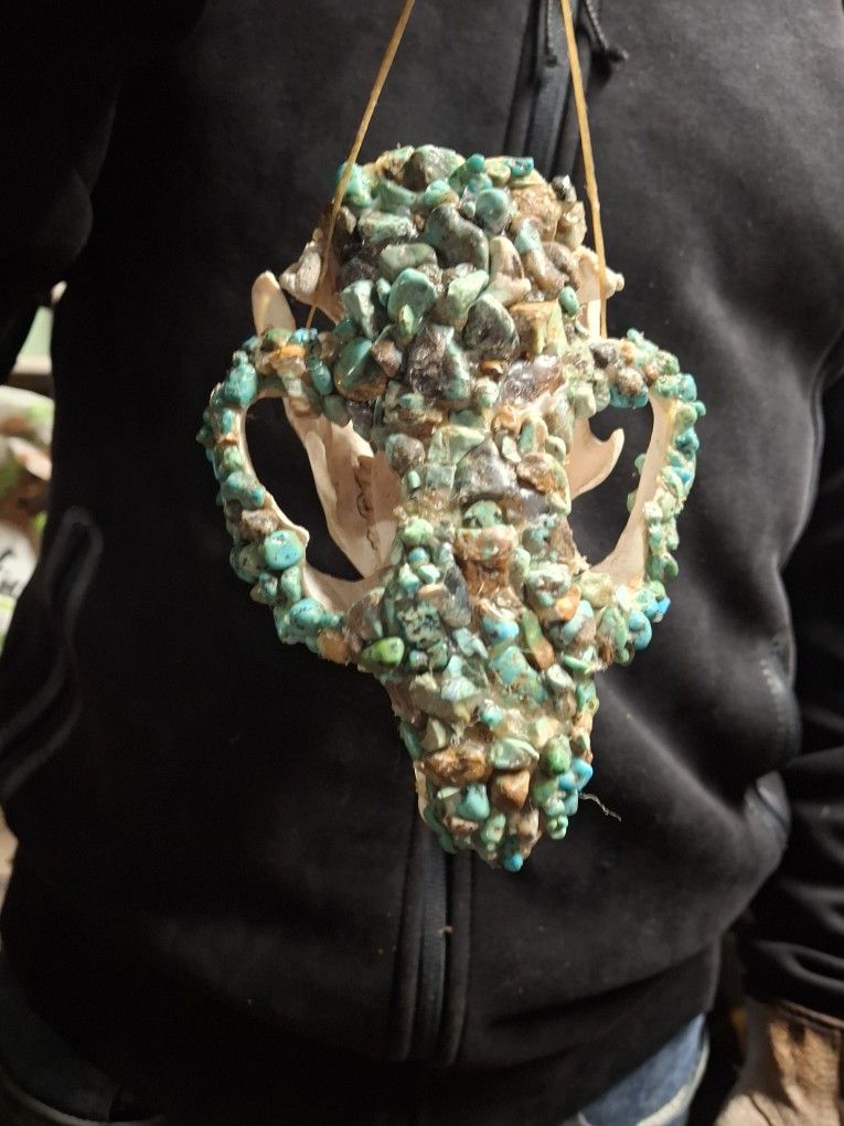 Cherokee Beaver Skull