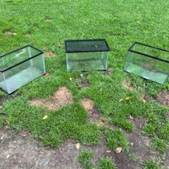 Set Of 3 20 Gallon Aquarium for Sale 