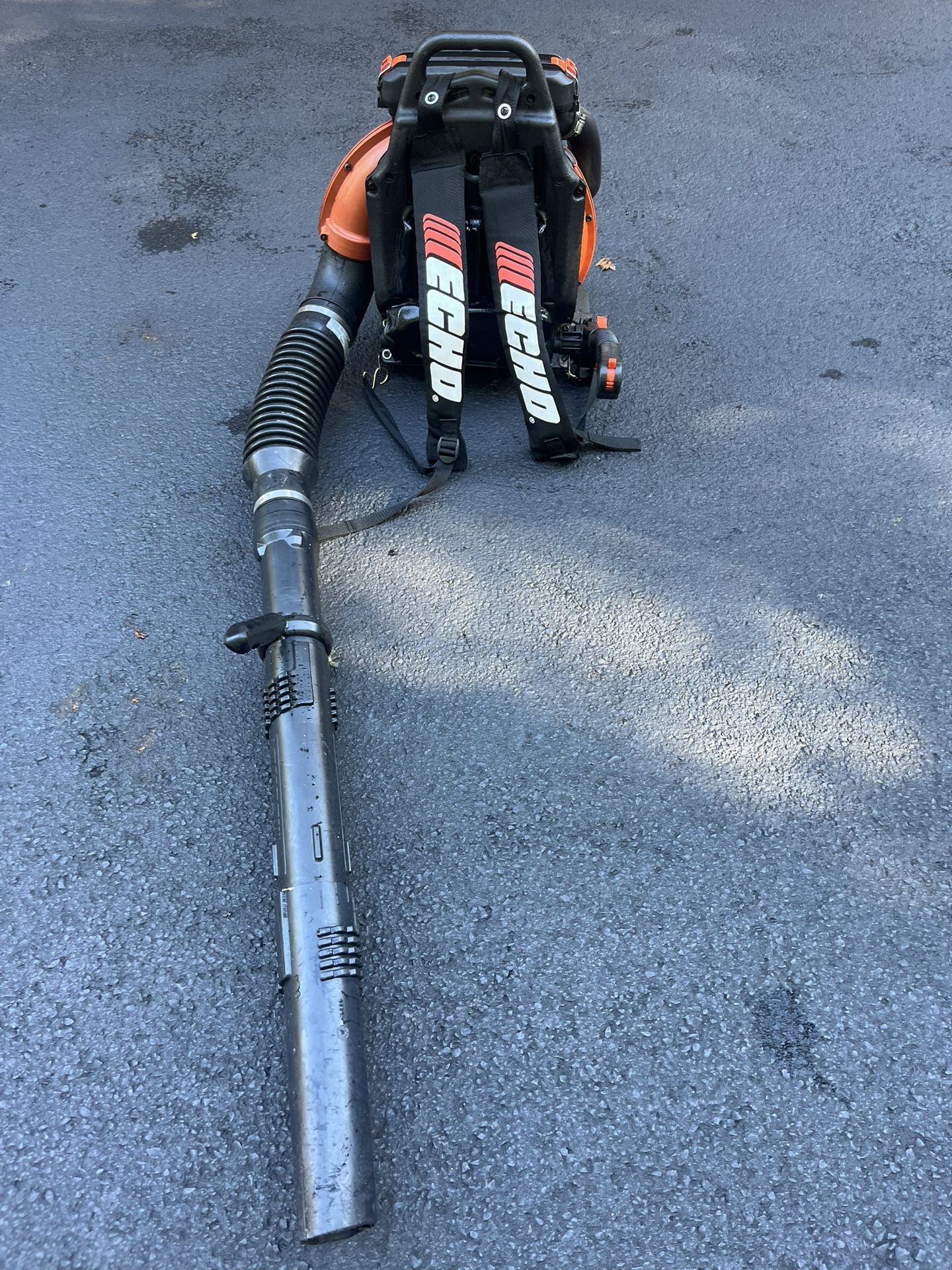 Echo Backpack Blower