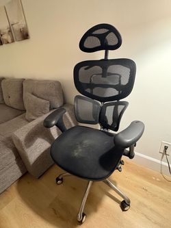 Ergonomic Office Chair