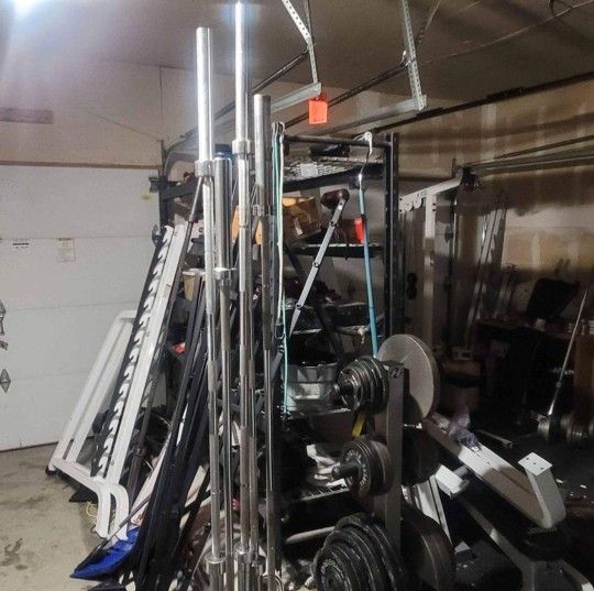 Barbells ( Different Types )