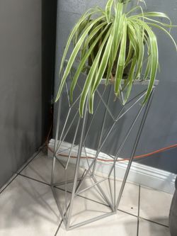 Corner Stand