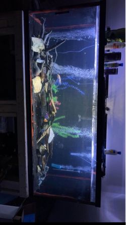 210 gallon & stand. NO LIVE FISH. only stand and aquarium