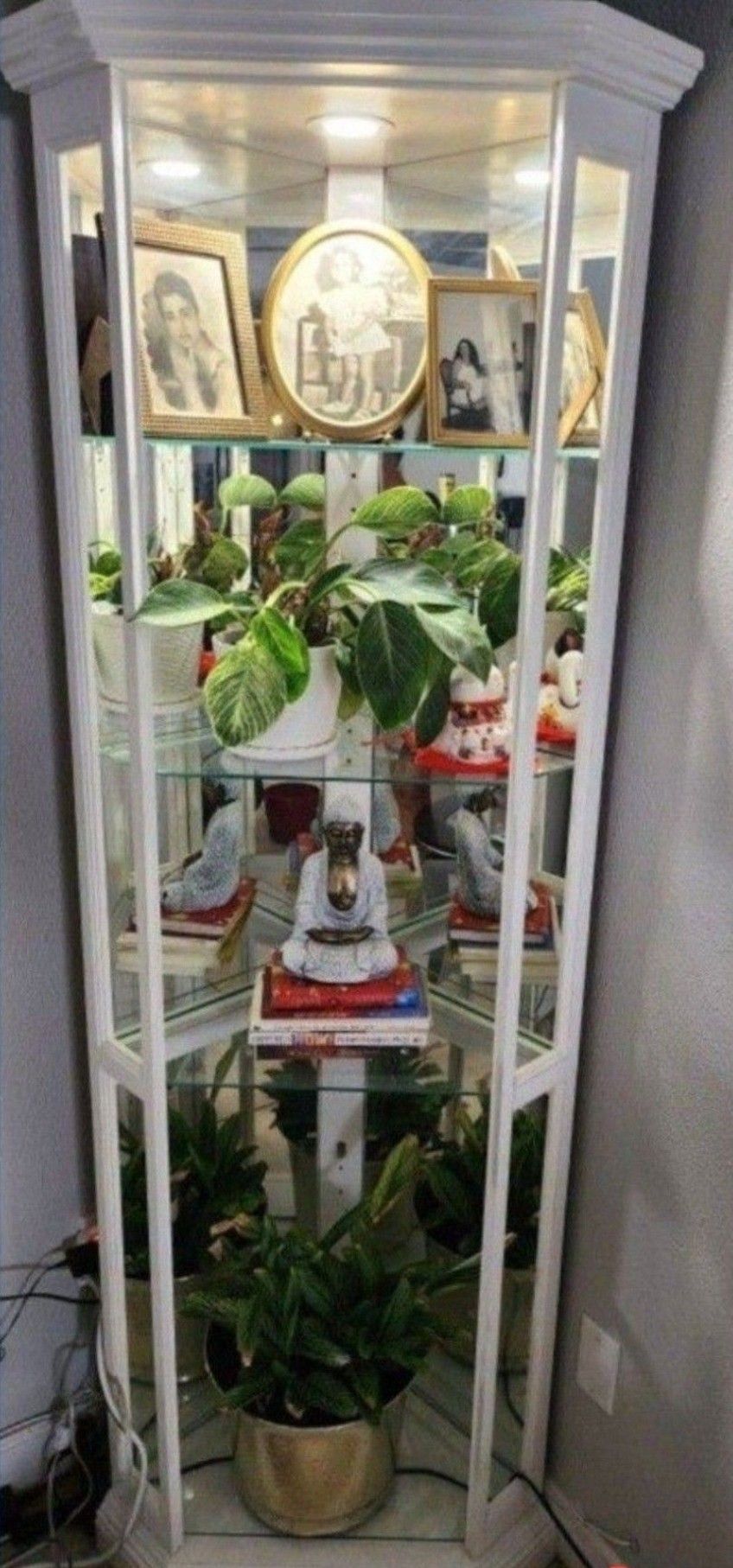 Beautiful CORNER UNIT SHELVES with background Mirror and Spot Light