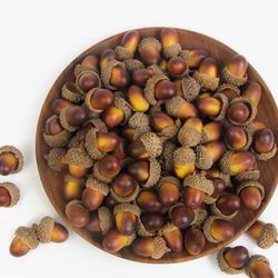 Fake Acorns 60pc For Crafts Or Anything