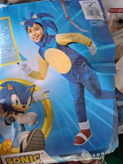 Sonic Costume 