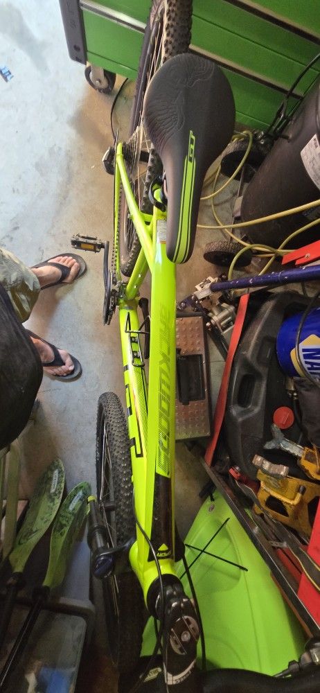 Backwoods Gt Mountain Bike 38 Inch