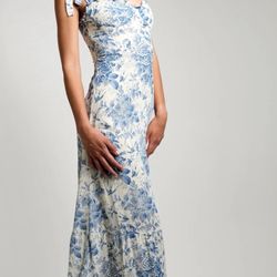Reformation Nikita Midi Dress Blue and White Floral Sz 8