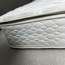 Free Sealy Posturepedic King Mattress