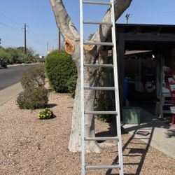 12 Foot Ladder