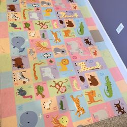 Free Toys, Mat, Storage Shelve And Misc Items