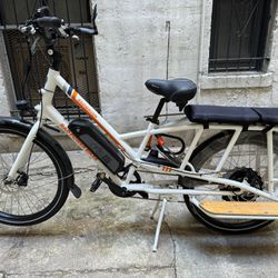 Radwagon 3 E-bike (2019)