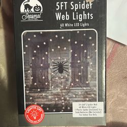 Spider Web Lights