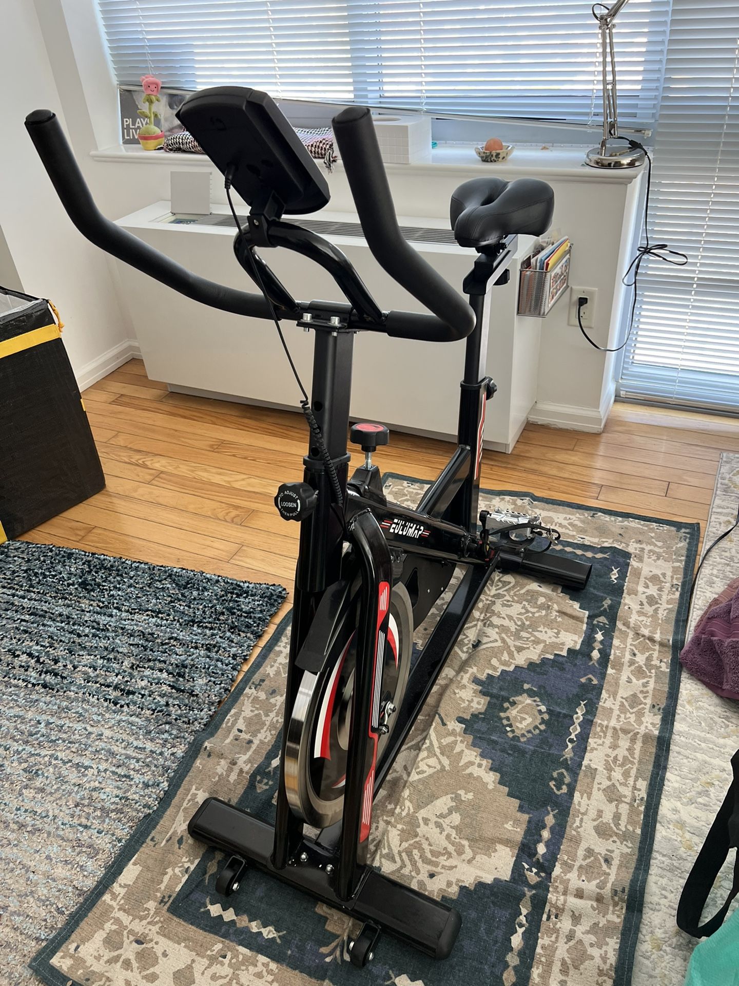 Eulumap Exercise Bike Bicycle Stationary Cycle for Sale in Queens