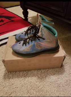 Lebron platinum 10