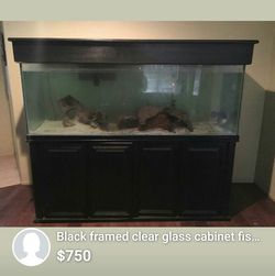 200 gallon fish tank