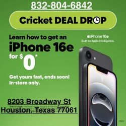 Cricket