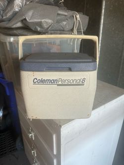 Ice chest suit case