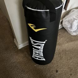 Punching bag