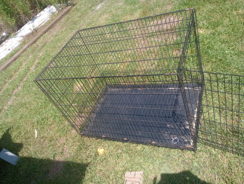 Dog Kennel