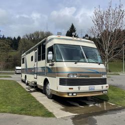 1988 Beaver Marquis