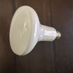 Philips Hue White and Color Ambiance BR30 bulb